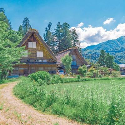 幸运快3在线官网官网网站截图